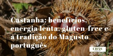 castanha benefícios — castanhas Castanea sativa assadas no Magusto ricas em hidratos de carbono complexos
