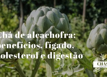 chá de alcachofra — folhas de Cynara scolymus secas ao lado de chávena de chá escuro sobre superfície de madeira