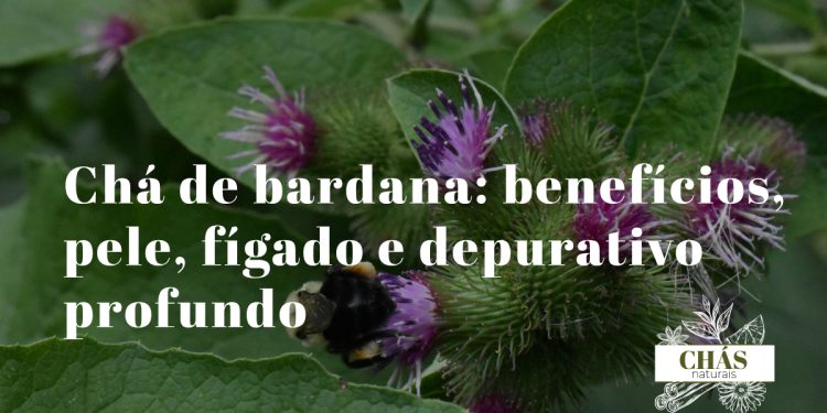 chá de bardana — raiz de Arctium lappa seca fatiada ao lado de frutos espinhosos em gancho sobre superfície rústica
