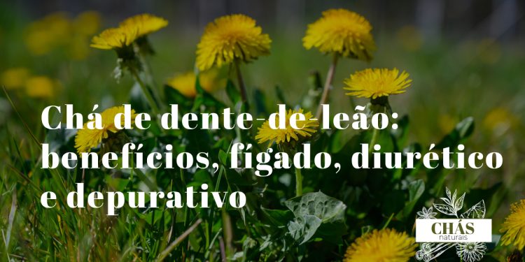 chá de dente-de-leão — flor amarela de Taraxacum officinale e relógio branco de sementes em prado com folhas dentadas