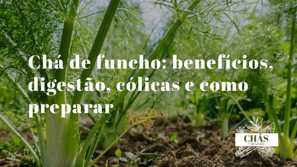 chá de funcho — sementes de funcho aromáticas com umbelo seco e chávena de chá sobre superfície de pedra