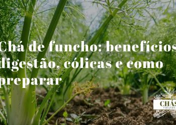 chá de funcho — sementes de funcho aromáticas com umbelo seco e chávena de chá sobre superfície de pedra