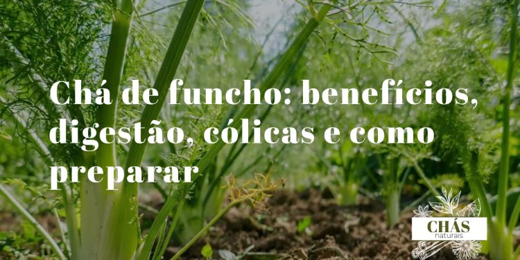 chá de funcho — sementes de funcho aromáticas com umbelo seco e chávena de chá sobre superfície de pedra