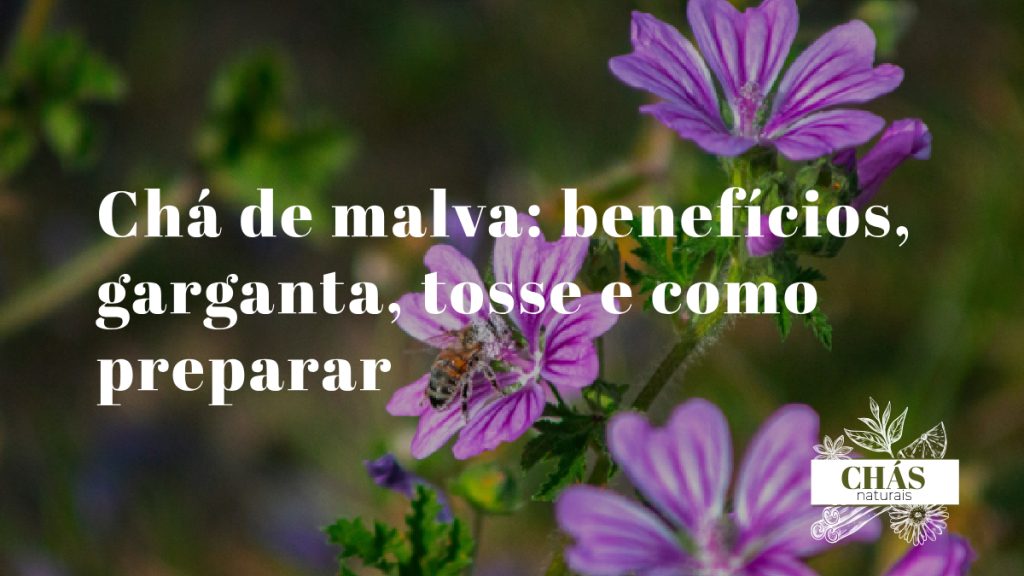 chá de malva — flores de malva sylvestris roxas com veias escuras sobre superfície de pedra rústica portuguesa