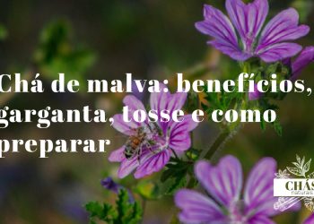 chá de malva — flores de malva sylvestris roxas com veias escuras sobre superfície de pedra rústica portuguesa