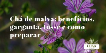 chá de malva — flores de malva sylvestris roxas com veias escuras sobre superfície de pedra rústica portuguesa