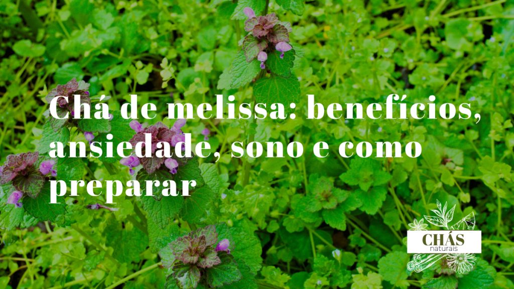 chá de melissa — ramo de melissa fresca com folhas verdes aromáticas e chávena de chá sobre superfície de madeira