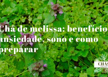 chá de melissa — ramo de melissa fresca com folhas verdes aromáticas e chávena de chá sobre superfície de madeira