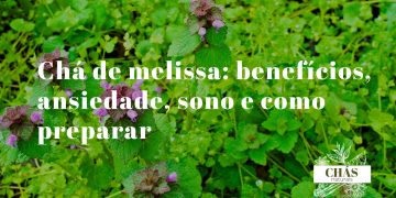 chá de melissa — ramo de melissa fresca com folhas verdes aromáticas e chávena de chá sobre superfície de madeira