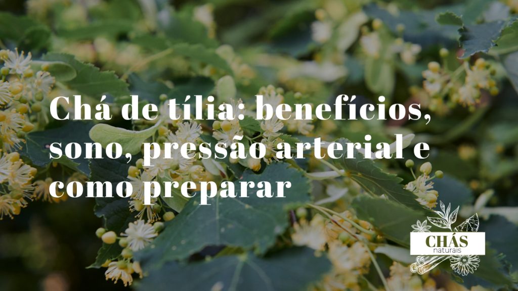 chá de tília — flores de tília brancas com brácteas verdes em umbelo sobre fundo de madeira rústica