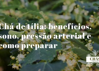 chá de tília — flores de tília brancas com brácteas verdes em umbelo sobre fundo de madeira rústica