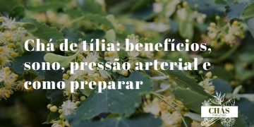 chá de tília — flores de tília brancas com brácteas verdes em umbelo sobre fundo de madeira rústica