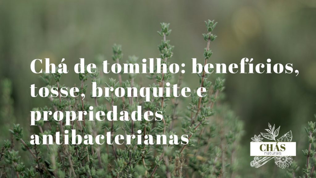 chá de tomilho — raminhos de tomilho fresco com pequenas flores em chávena de chá sobre mesa de madeira rústica