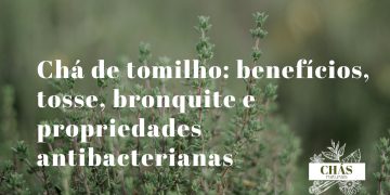 chá de tomilho — raminhos de tomilho fresco com pequenas flores em chávena de chá sobre mesa de madeira rústica