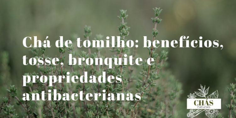 chá de tomilho — raminhos de tomilho fresco com pequenas flores em chávena de chá sobre mesa de madeira rústica