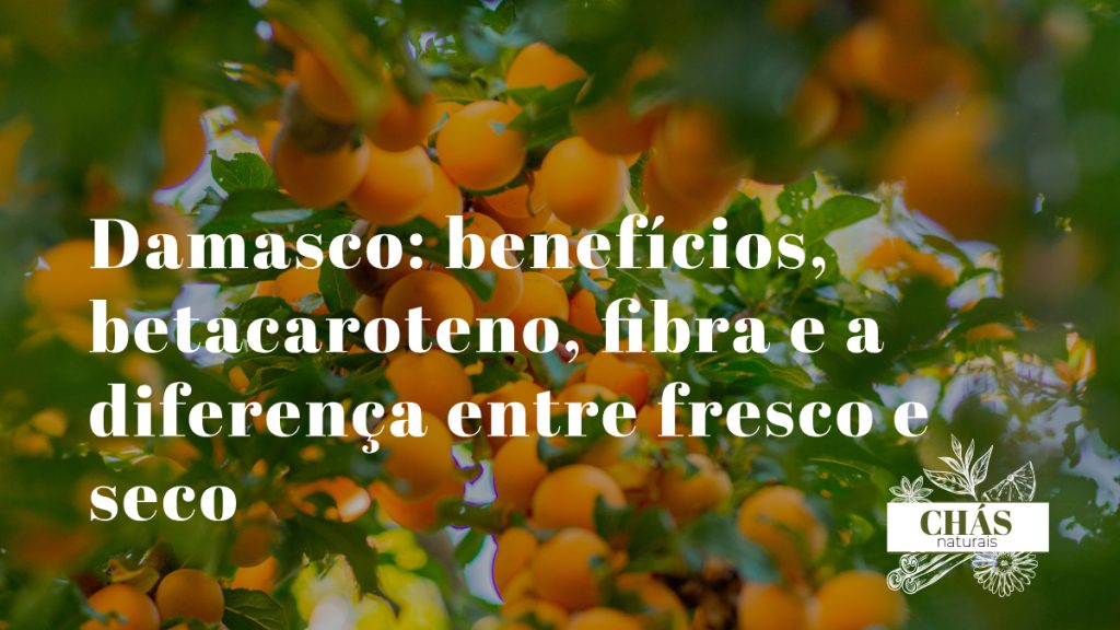 damasco benefícios — damascos alaranjados frescos Prunus armeniaca ricos em betacaroteno