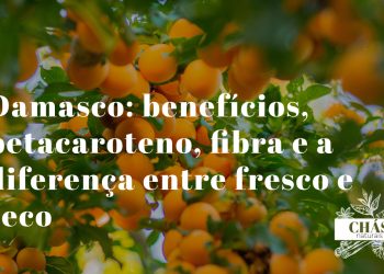 damasco benefícios — damascos alaranjados frescos Prunus armeniaca ricos em betacaroteno