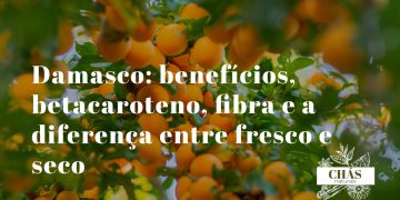 damasco benefícios — damascos alaranjados frescos Prunus armeniaca ricos em betacaroteno