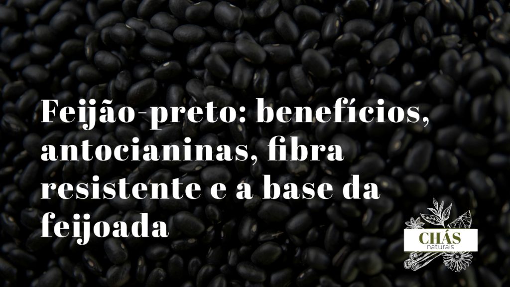 feijão-preto benefícios — feijões pretos Phaseolus vulgaris ricos em antocianinas e fibra resistente
