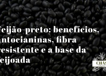 feijão-preto benefícios — feijões pretos Phaseolus vulgaris ricos em antocianinas e fibra resistente