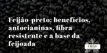 feijão-preto benefícios — feijões pretos Phaseolus vulgaris ricos em antocianinas e fibra resistente