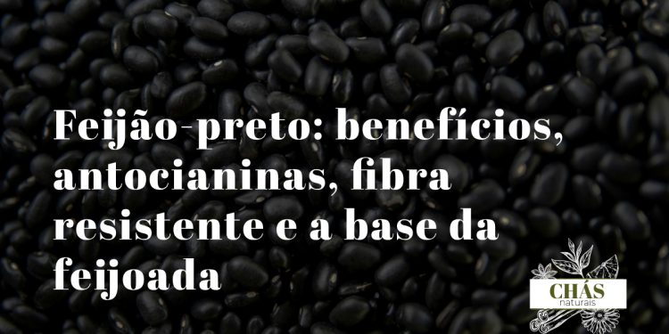 feijão-preto benefícios — feijões pretos Phaseolus vulgaris ricos em antocianinas e fibra resistente