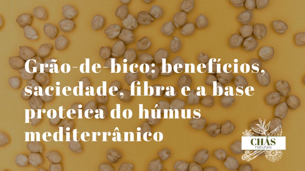 grão-de-bico benefícios — grãos dourados de Cicer arietinum cozidos ricos em fibra e proteína vegetal