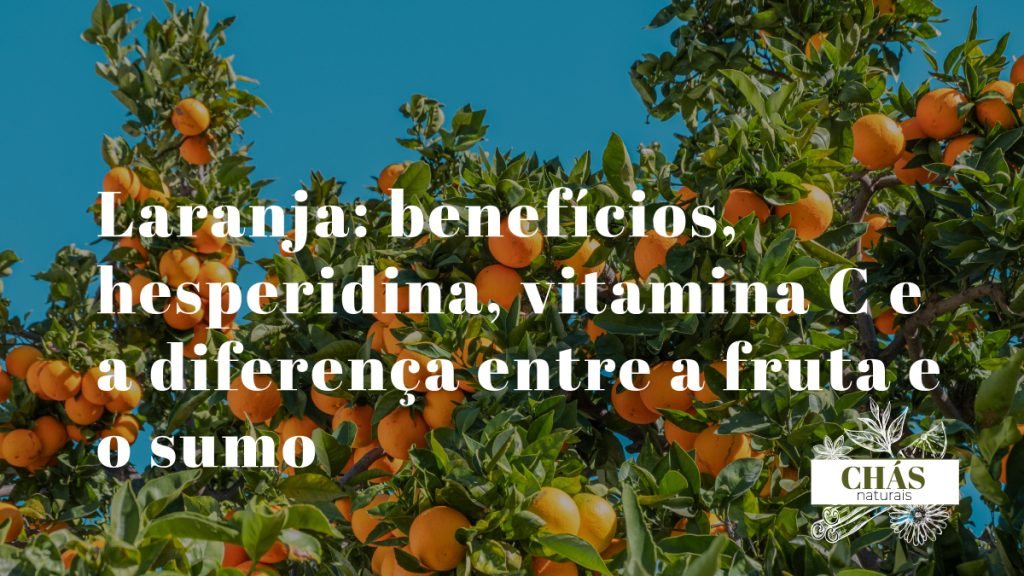 laranja benefícios — laranjas algarvias Citrus sinensis ricas em vitamina C e hesperidina