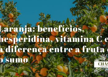 laranja benefícios — laranjas algarvias Citrus sinensis ricas em vitamina C e hesperidina