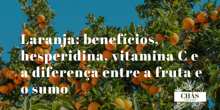 laranja benefícios — laranjas algarvias Citrus sinensis ricas em vitamina C e hesperidina