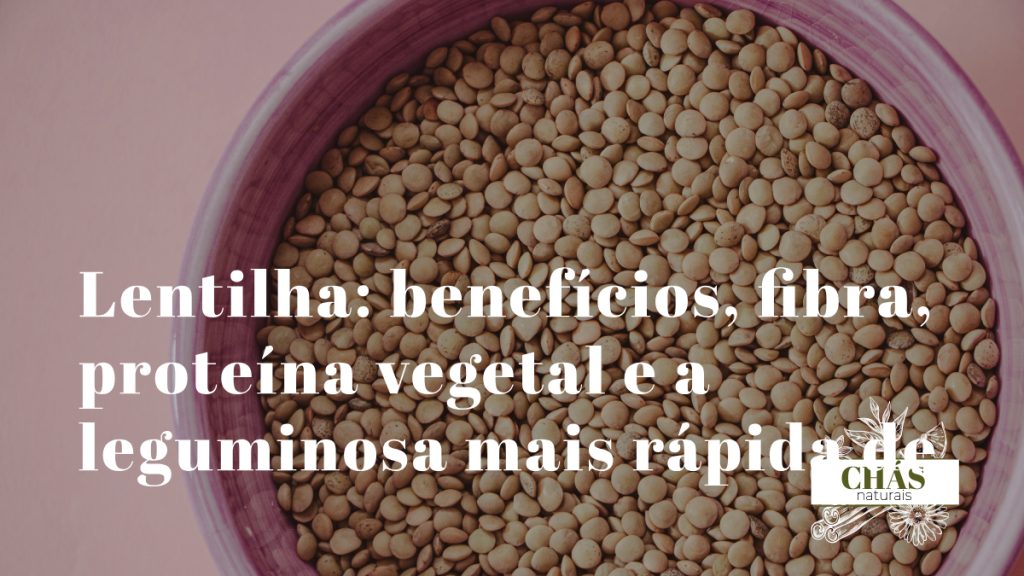 lentilha benefícios — lentilhas vermelhas, verdes e pretas Lens culinaris ricas em fibra e proteína