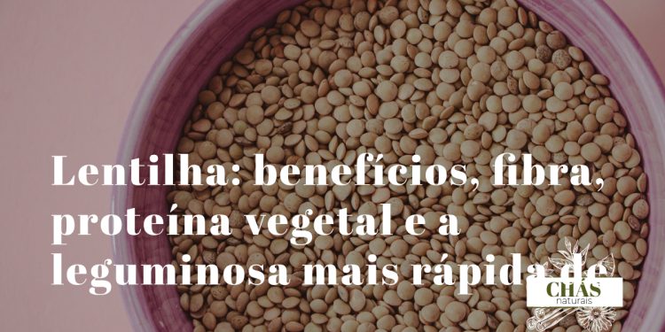 lentilha benefícios — lentilhas vermelhas, verdes e pretas Lens culinaris ricas em fibra e proteína