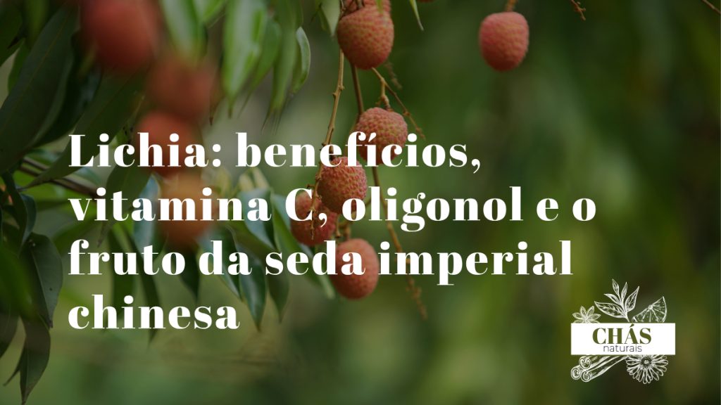lichia benefícios — lichias frescas Litchi chinensis com polpa translúcida rica em vitamina C