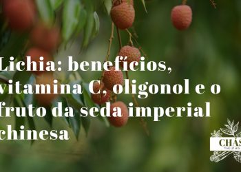 lichia benefícios — lichias frescas Litchi chinensis com polpa translúcida rica em vitamina C