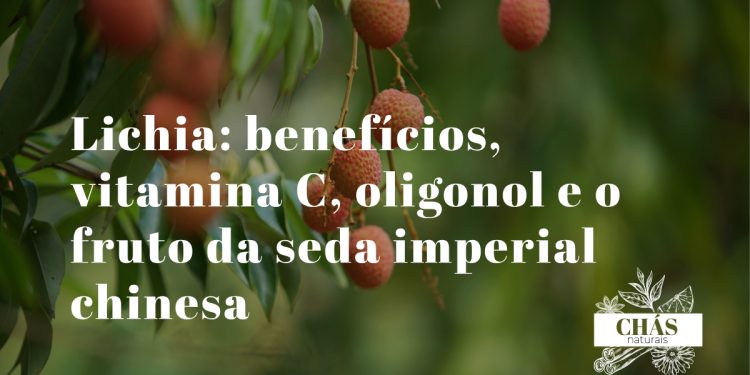 lichia benefícios — lichias frescas Litchi chinensis com polpa translúcida rica em vitamina C