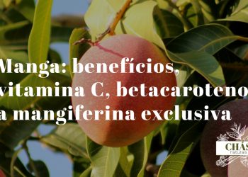 manga-beneficios-mangifera-indica-vitamina-c-betacaroteno-mangiferina