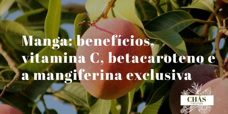 manga-beneficios-mangifera-indica-vitamina-c-betacaroteno-mangiferina