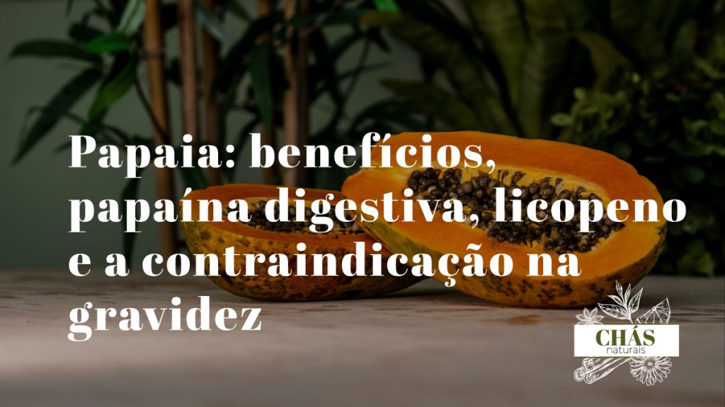 papaia benefícios — papaia vermelha madura Carica papaya rica em papaína licopeno e vitamina C