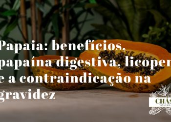 papaia benefícios — papaia vermelha madura Carica papaya rica em papaína licopeno e vitamina C
