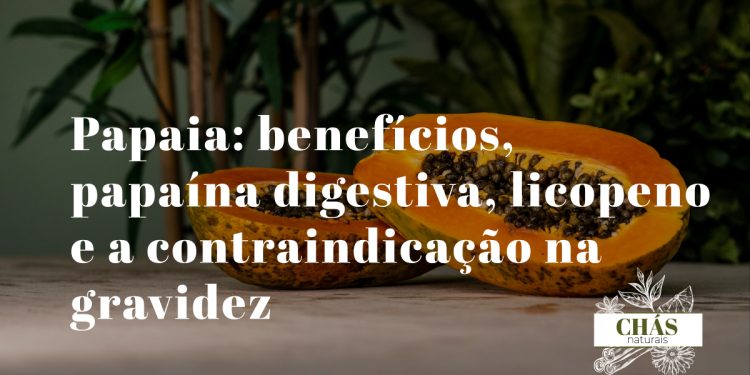 papaia benefícios — papaia vermelha madura Carica papaya rica em papaína licopeno e vitamina C