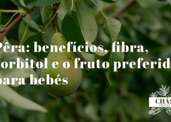 pêra benefícios — pêras Pyrus communis com casca ricas em fibra e sorbitol