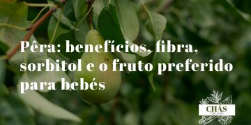 pêra benefícios — pêras Pyrus communis com casca ricas em fibra e sorbitol