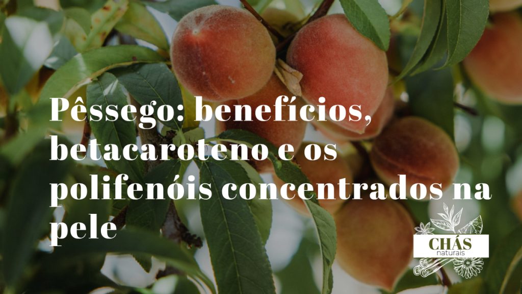 pêssego benefícios — pêssegos maduros Prunus persica com pele rica em betacaroteno e polifenóis