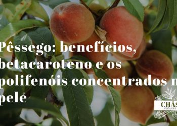 pêssego benefícios — pêssegos maduros Prunus persica com pele rica em betacaroteno e polifenóis