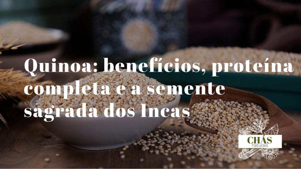 quinoa benefícios — grãos de Chenopodium quinoa ricos em proteína completa e sem gluten