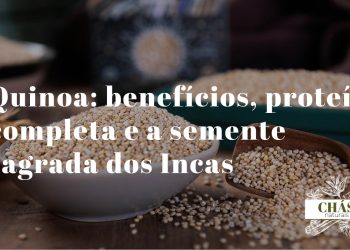 quinoa benefícios — grãos de Chenopodium quinoa ricos em proteína completa e sem gluten