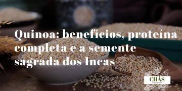 quinoa benefícios — grãos de Chenopodium quinoa ricos em proteína completa e sem gluten