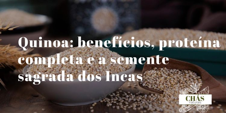 quinoa benefícios — grãos de Chenopodium quinoa ricos em proteína completa e sem gluten