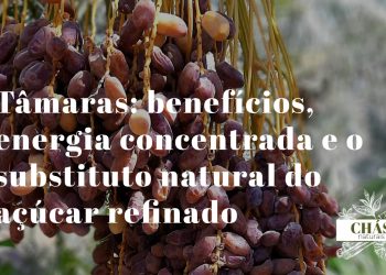 tâmaras benefícios — tâmaras Medjool Phoenix dactylifera ricas em energia natural e fibra