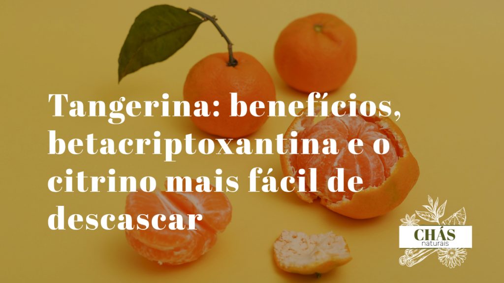 tangerina benefícios — tangerinas Citrus reticulata descascadas ricas em betacriptoxantina